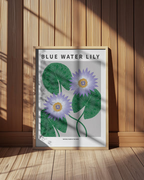 Blue Water Lily - National flower of Sri Lanka Poster