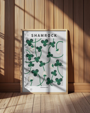 Shamrock - National flower of Ireland Poster