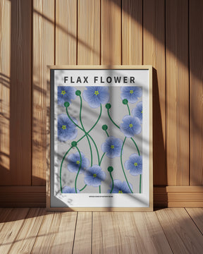 Flax flower - National flower of Ireland Poster