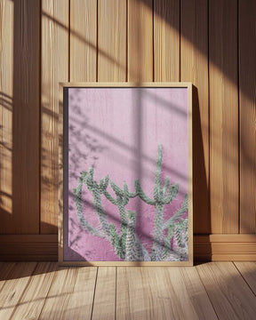 Cactus On Pink Poster