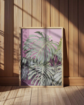 Monstera leaf La Muralla Poster