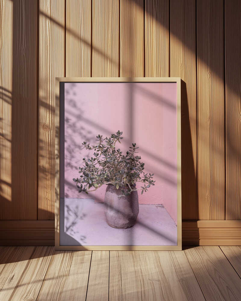 Spanish Rustic Succulent Poster