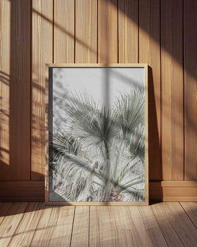 Palm Leaf Poster