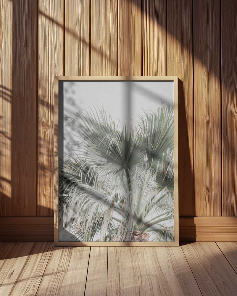 Palm Leaf Poster