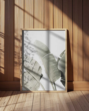 Banana leaf 1 Poster