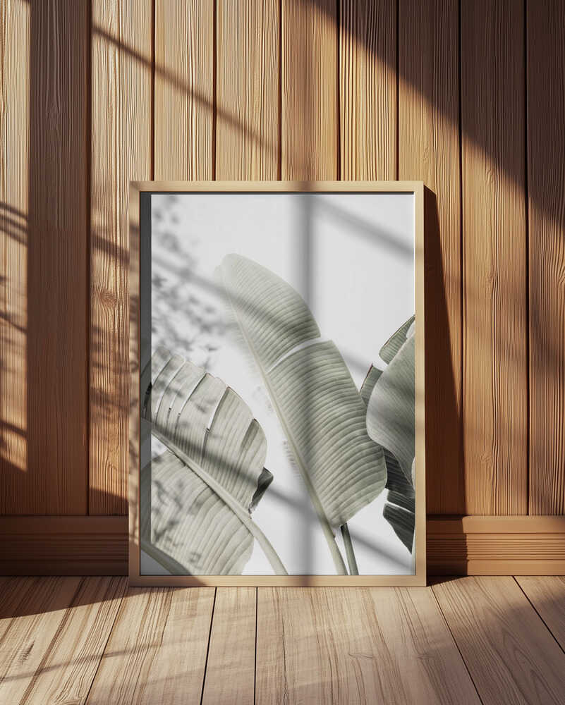 Banana leaf 1 Poster