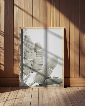 Banana leaf 2 Poster