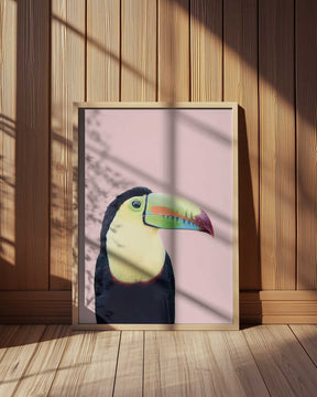 Toucan on Pink Poster
