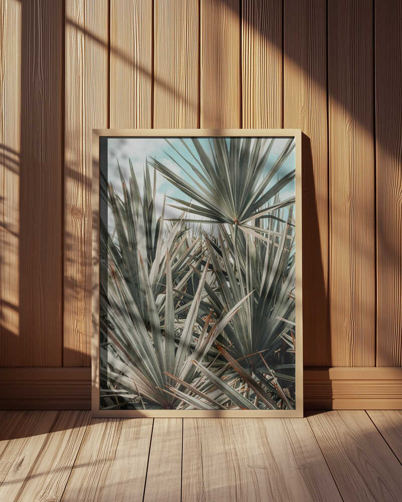 tropical paradise Poster