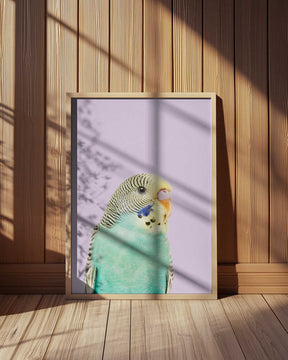 Badgie Poster
