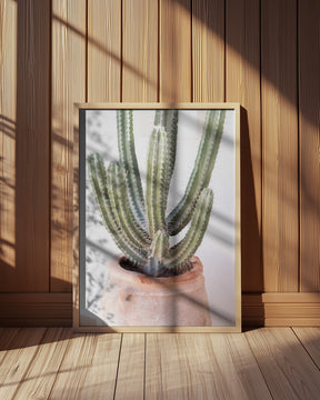 Prickly Poster