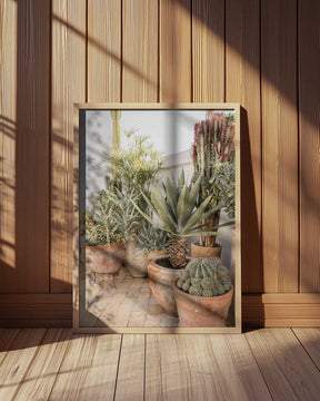 Garden with Various Potted Succulents and Cacti Poster
