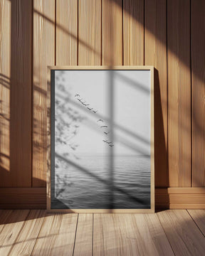 Flying Birds Poster