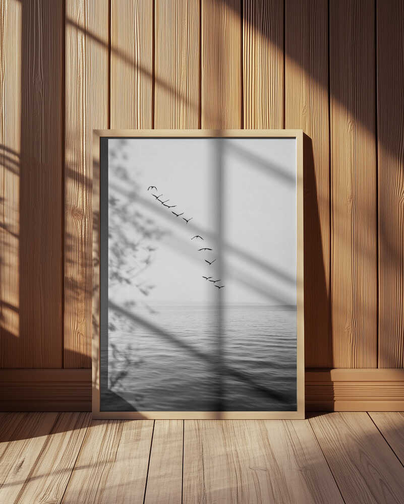 Flying Birds Poster