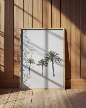 Palms Poster