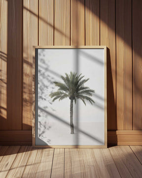 Palm Poster