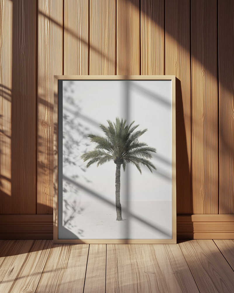 Palm Poster