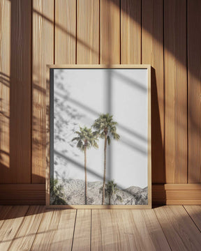 Palm Springs Palms Poster