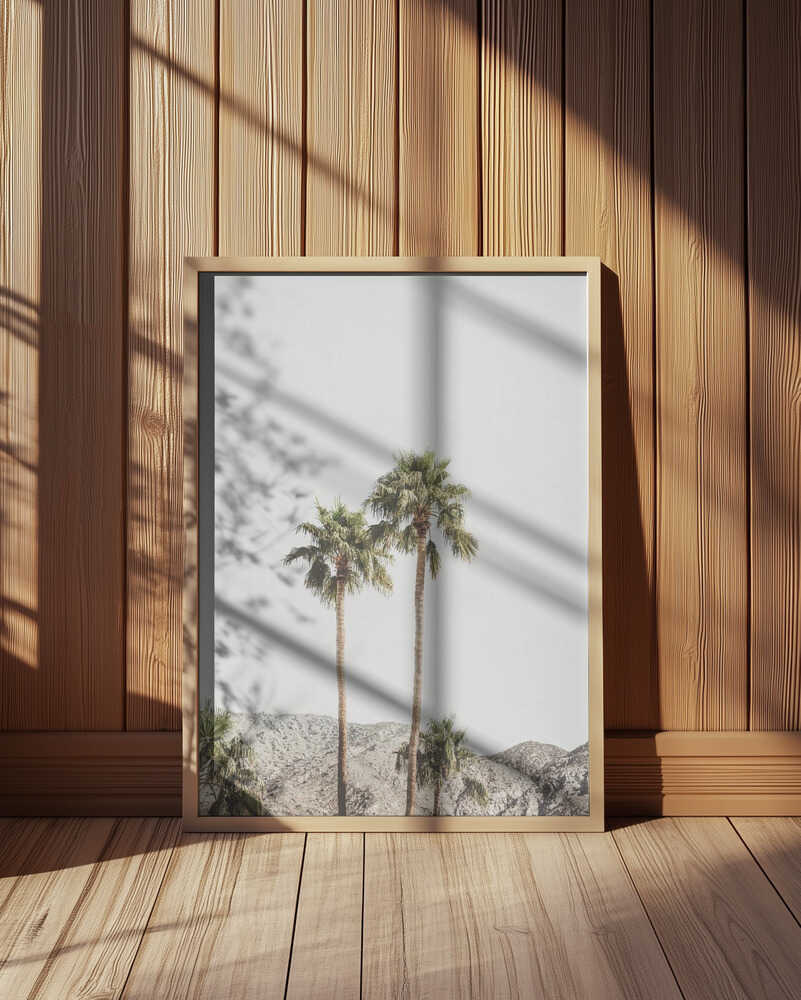 Palm Springs Palms Poster