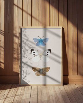 English Butterlies 2 Poster