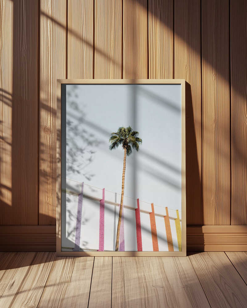 Palm Spring Colors 2 Poster