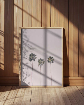 Palms On Pink Poster