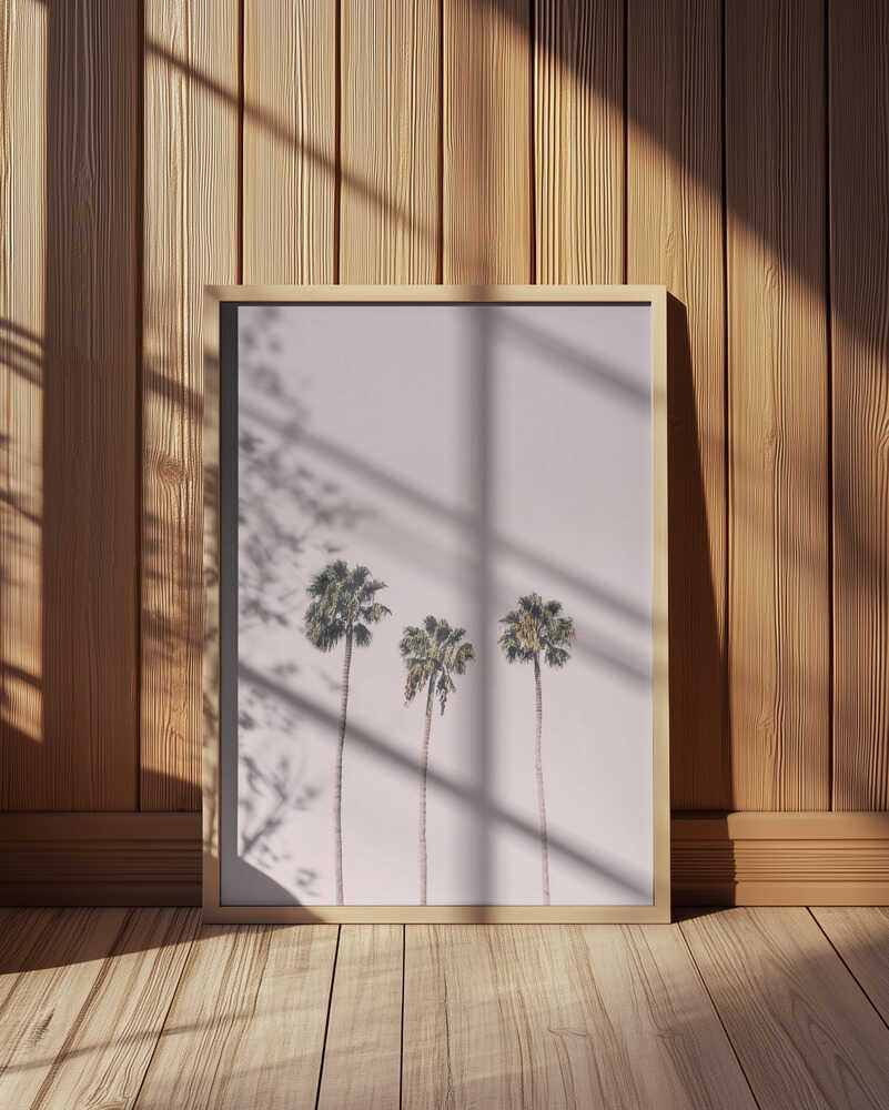 Palms On Pink Poster