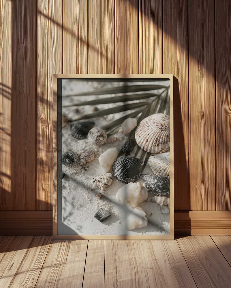 Shell stories no 03 Poster