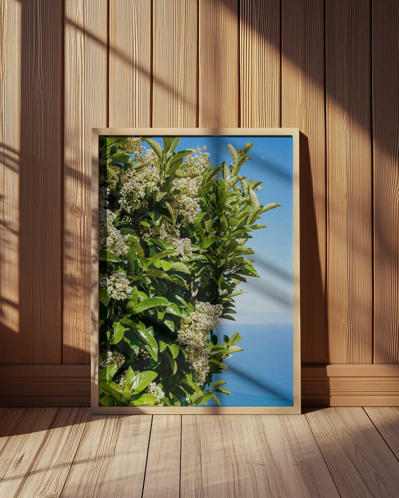 Amalfi Coast Flowers IV on Film Poster