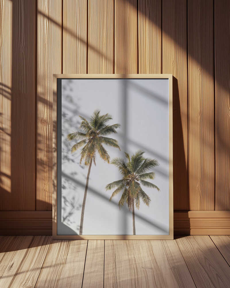Palm Trees Poster