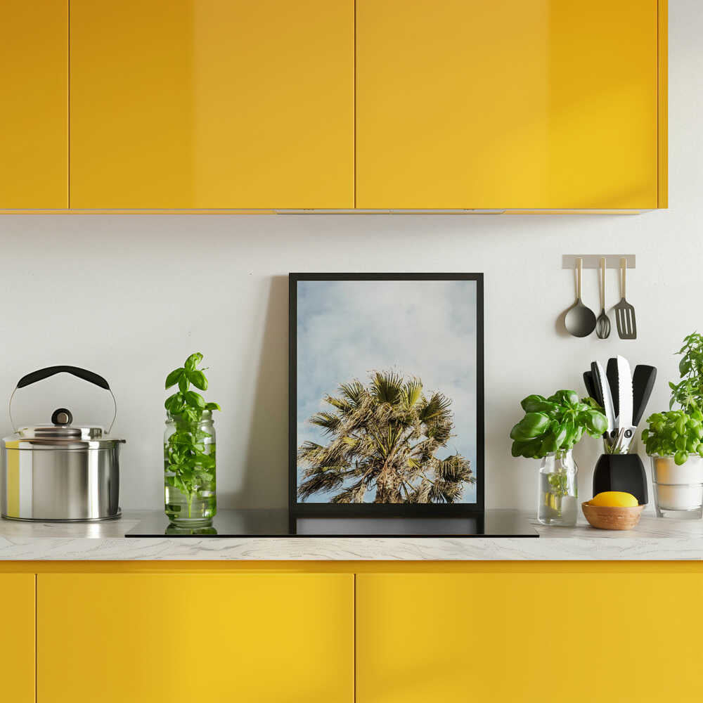 Sunlit Fronds Poster