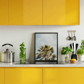 Sunlit Fronds Poster