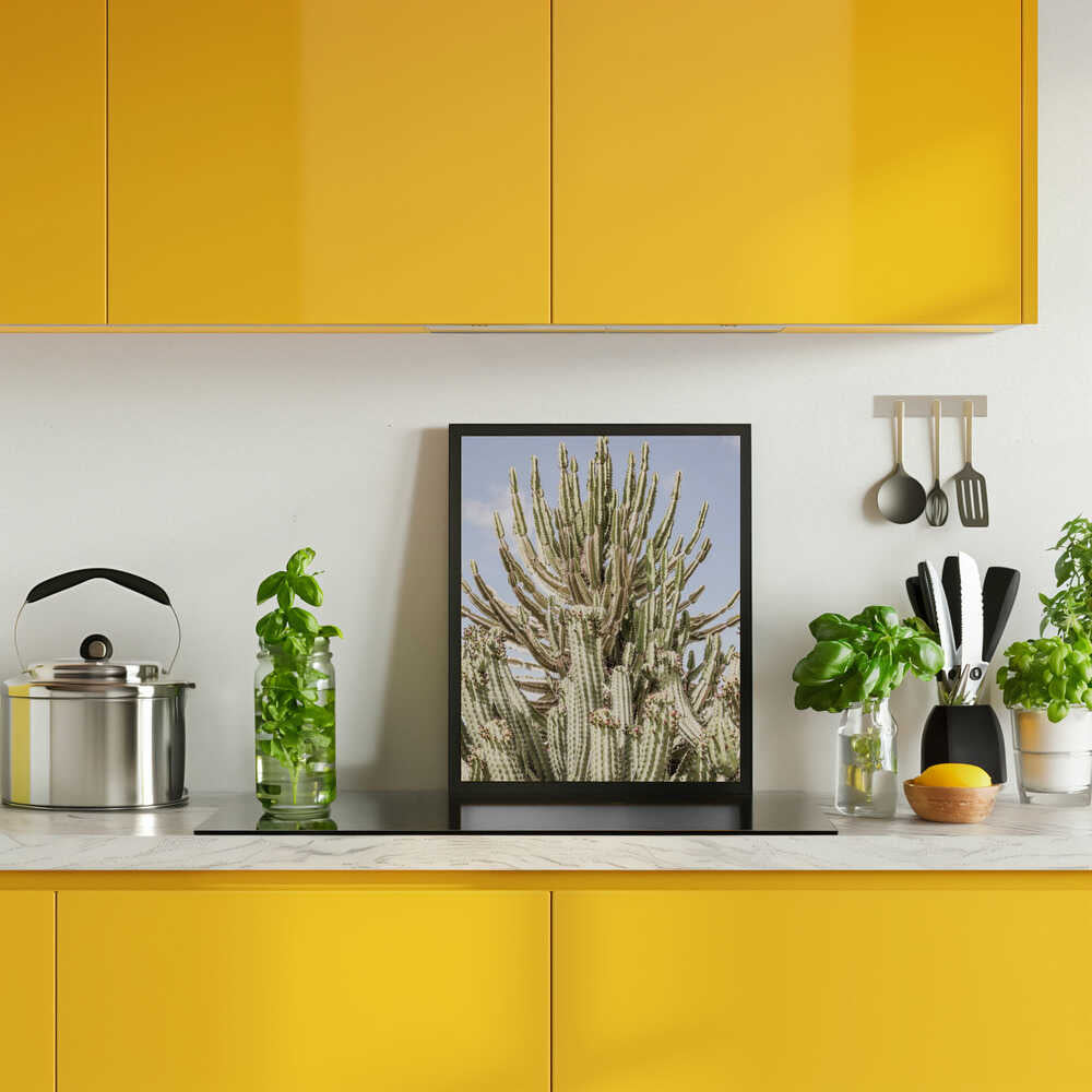 Cactus Symphony Poster