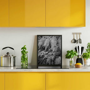 Black And White Photograph Poster