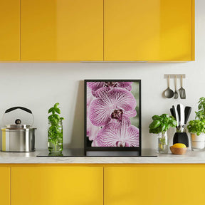 Tiger Blooms Poster