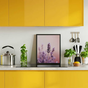 Lavender Serenity Poster