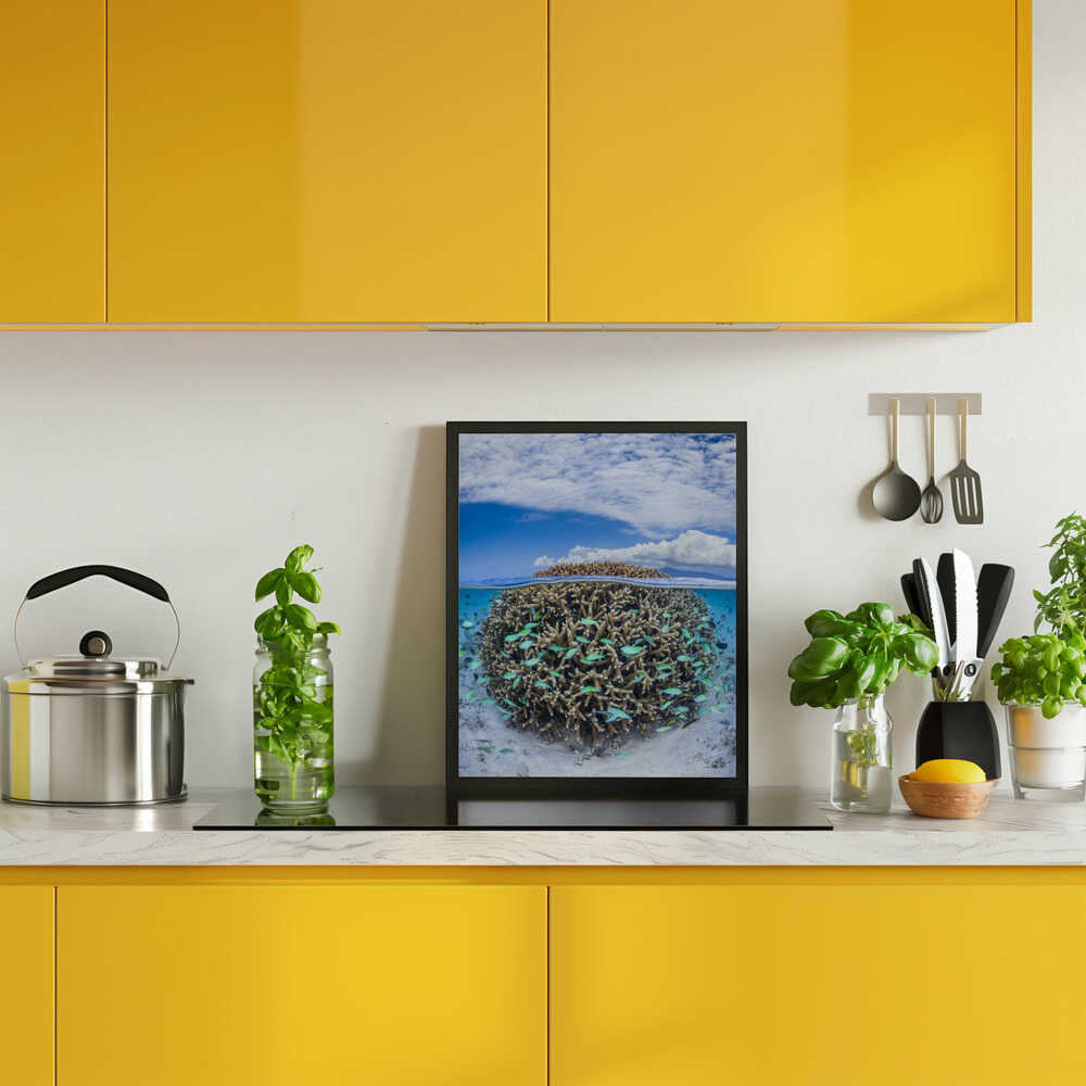 Coral Ball from Mayotte Poster