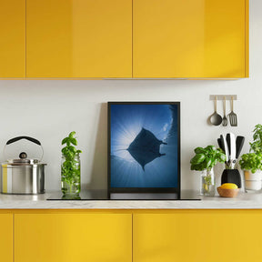 Manta Eclipse Poster