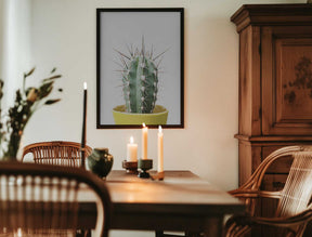 Spikey Cactus Poster