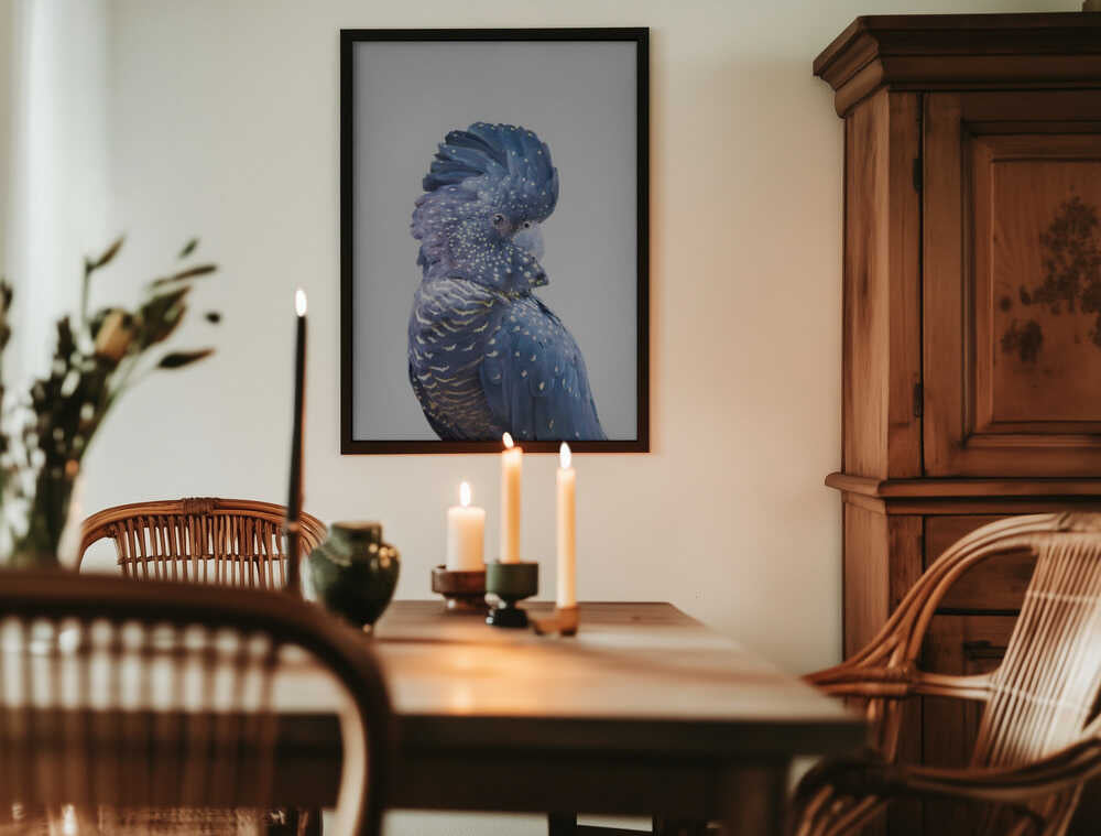 Black Cockatoo Poster
