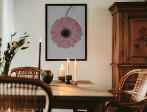 Pink Gerbera II Poster