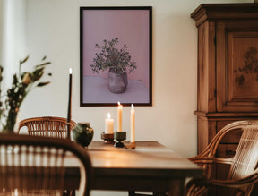Spanish Rustic Succulent Poster