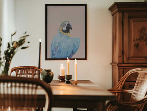 Blue Macaw Poster