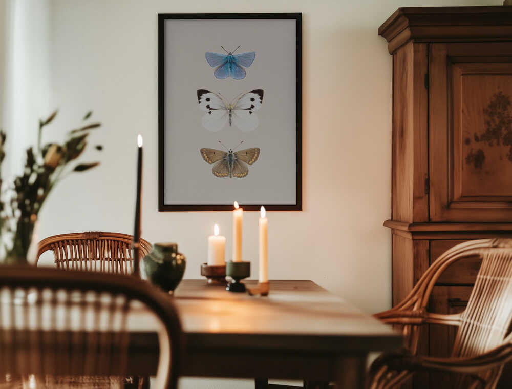 English Butterlies 2 Poster