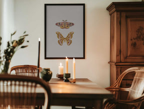 Moths Poster