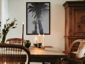 Palm Trees Poster
