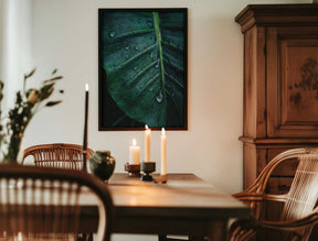 Rain Kissed Leaf Poster
