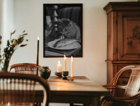 Curious Catch Poster