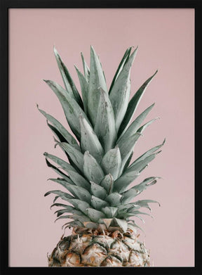 Pineapple Pink 02 Poster - Corkframes.com