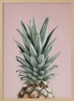 Pineapple Pink 02 Poster - Corkframes.com